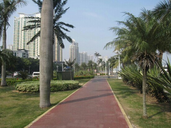 珠海情侣路-珠海市必去景点