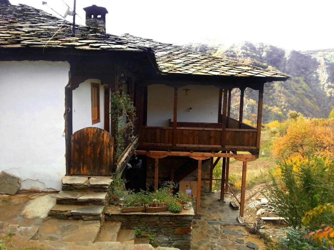 Guest House Vesko & Suzi主图
