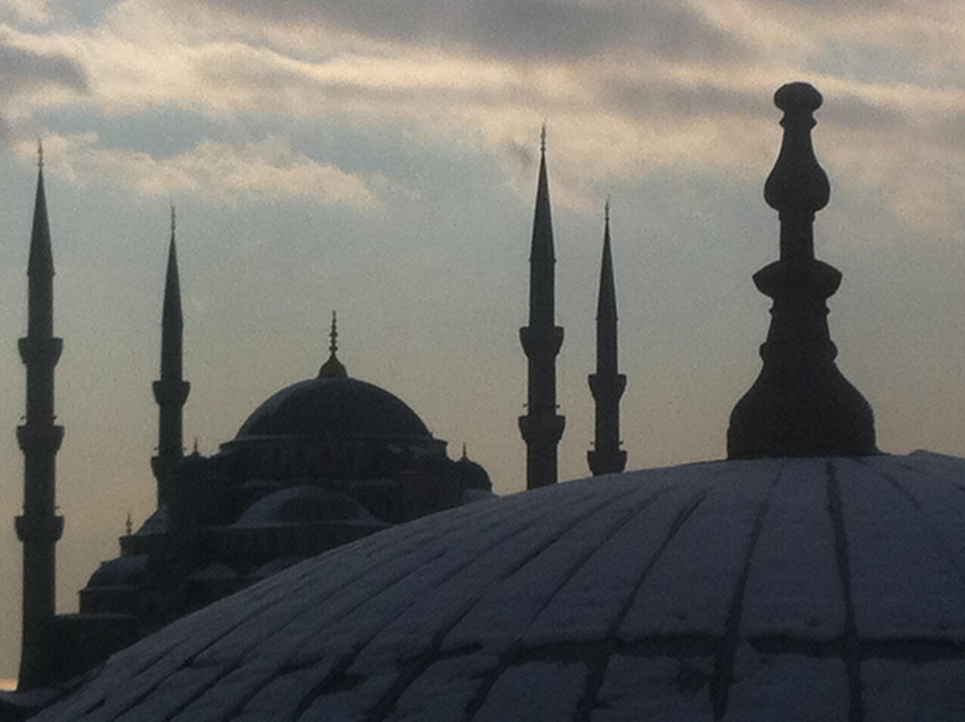 圣索菲亚博物馆/教堂 (Ayasofya)-伊斯坦布尔必去景点