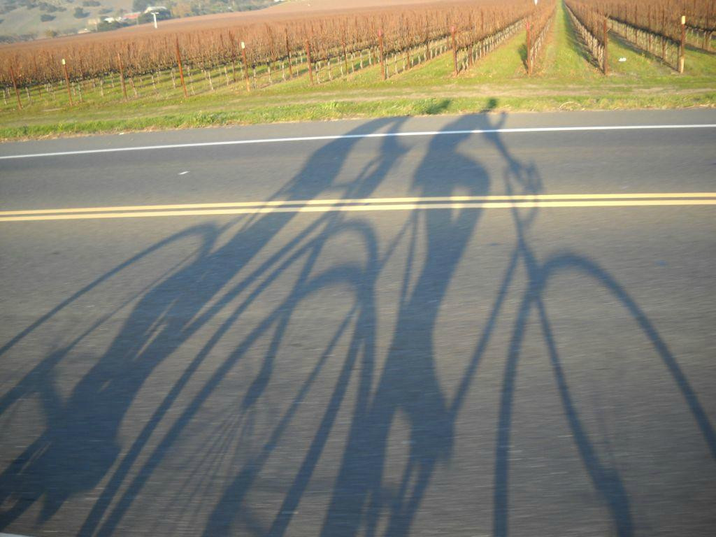 Wine Country Cyclery景点图片