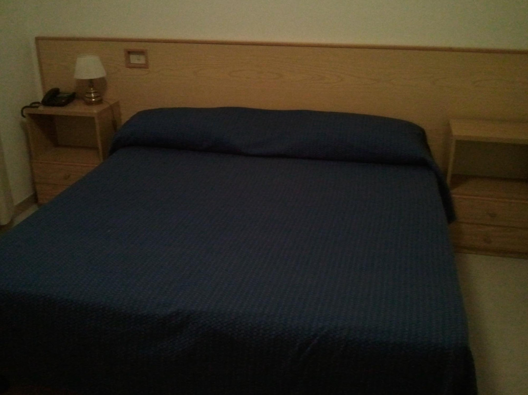 Hotel Certosa主图