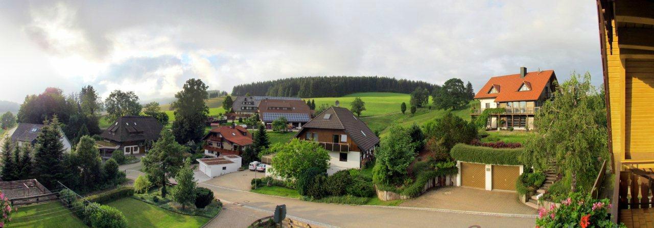 Haus Hubertus-酒店景观