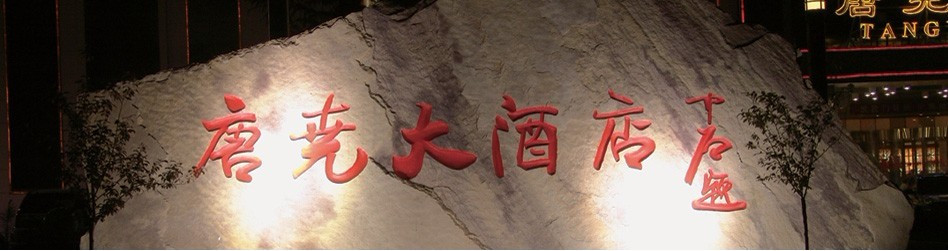 唐尧大酒店主图