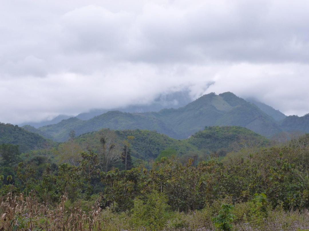 Tiger Trail Travel-琅勃拉邦必去景点