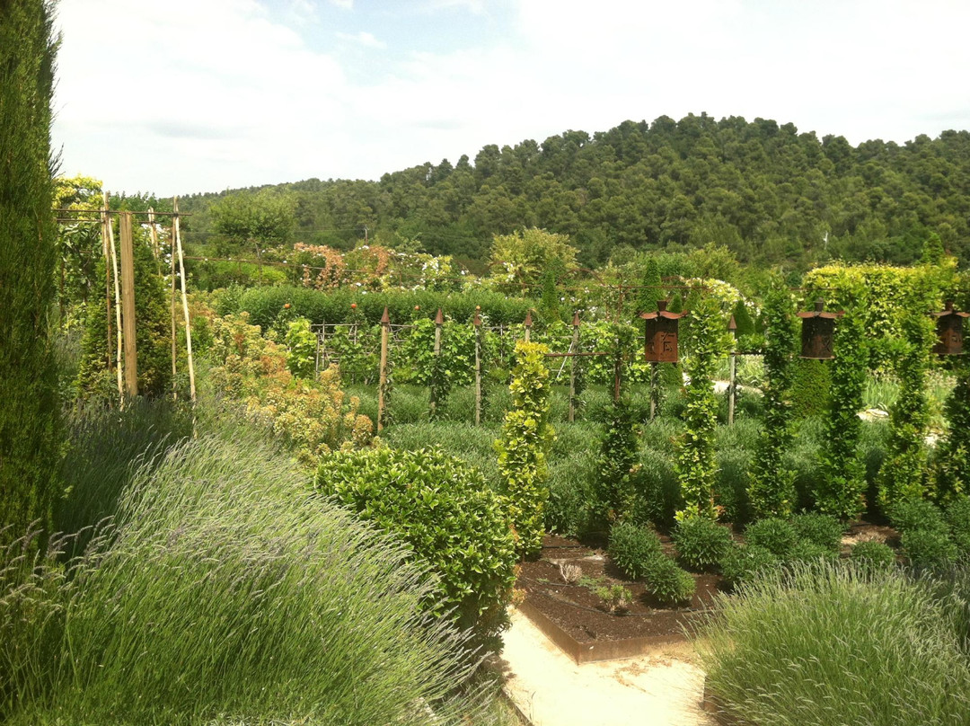 Wine in Provence景点图片