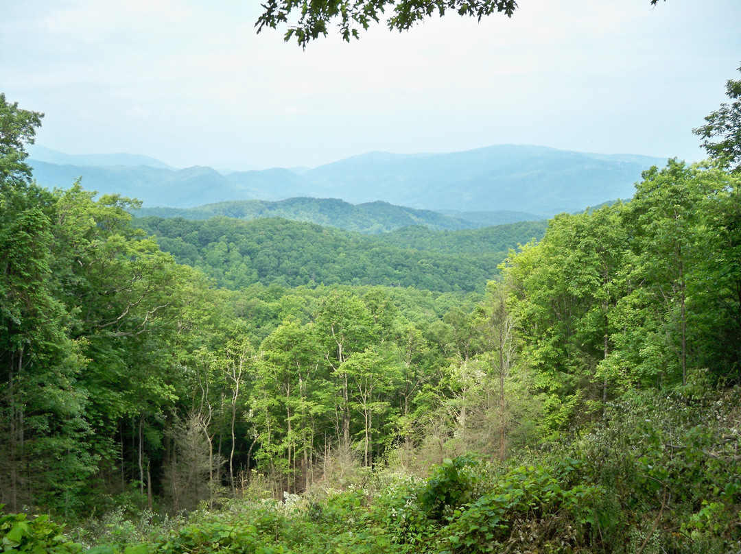 Roaring Fork Motor Nature Trail景点图片