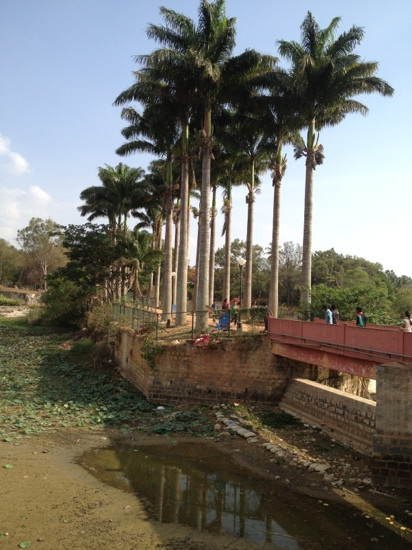 Lalbagh Botanical Garden景点图片