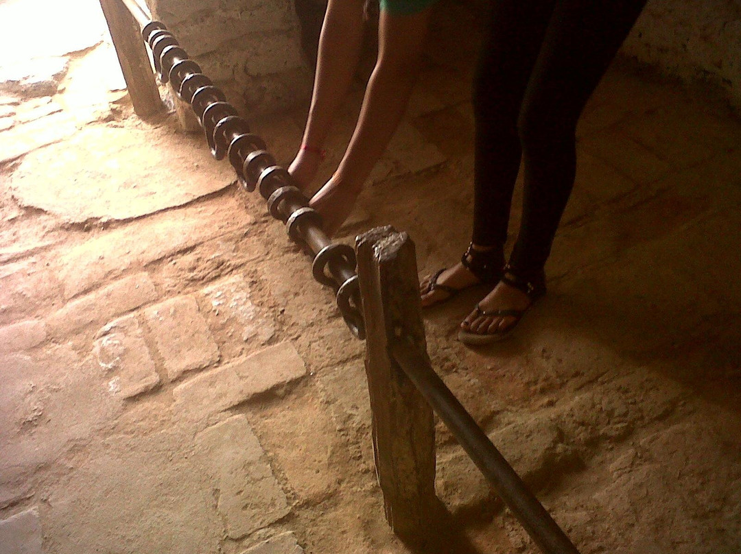 Museo Arqueologico Paracas-皮斯科必去景点