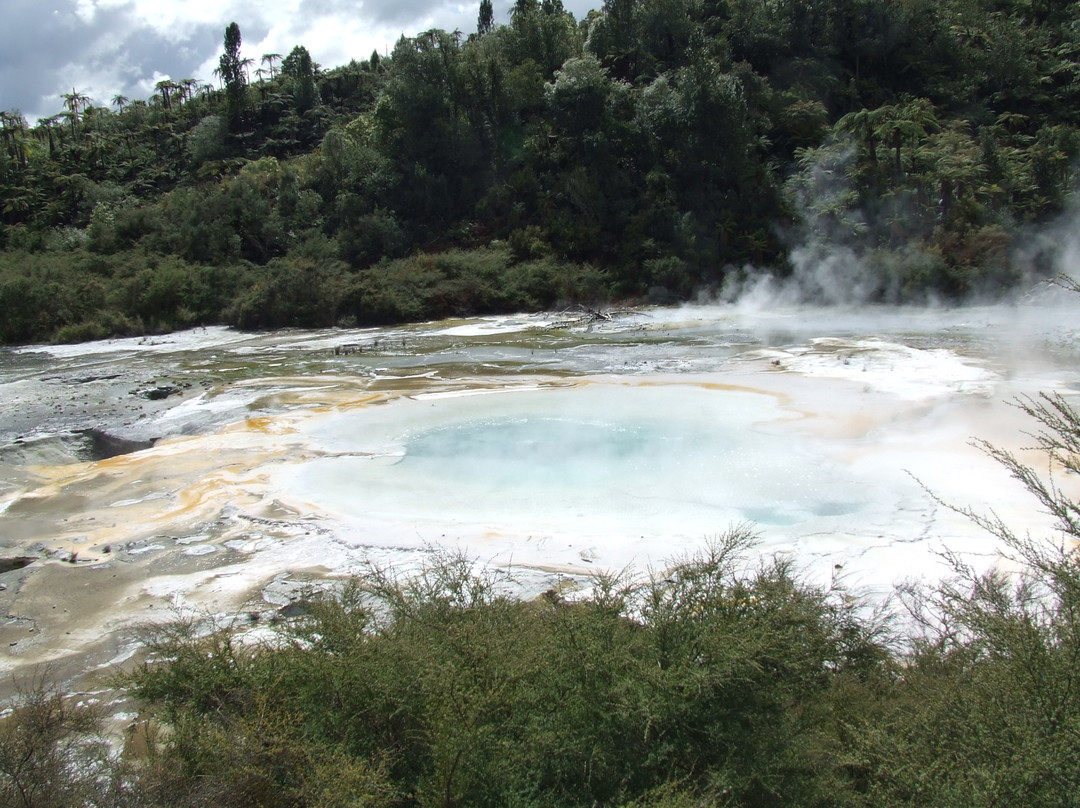 Orakei Korako Cave & Thermal Park-陶波区必去景点