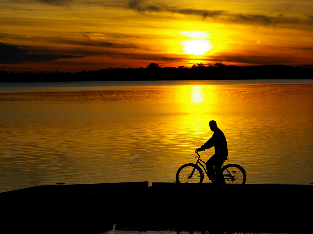 Country Inn Motel主图