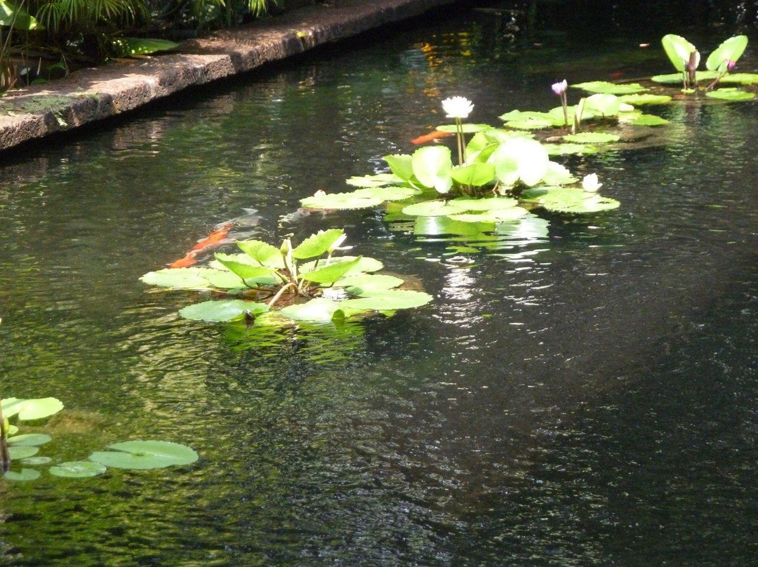 吉姆汤普森之家-曼谷必去景点