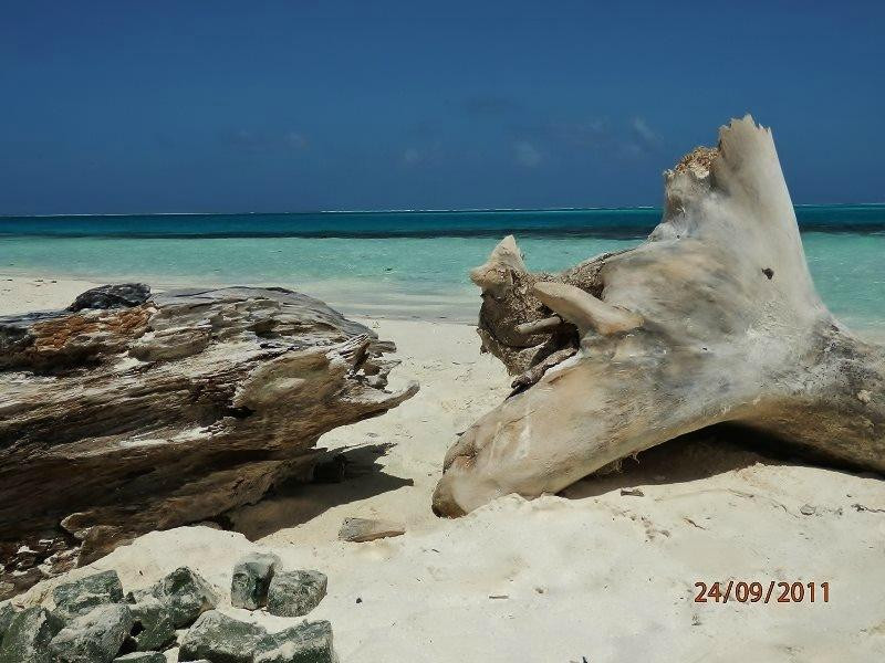 Cayo Fabian景点图片