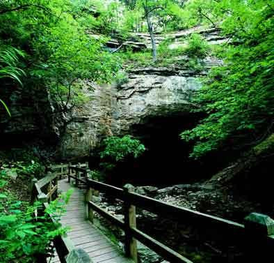 Rock Bridge Memorial State Park-哥伦比亚市必去景点