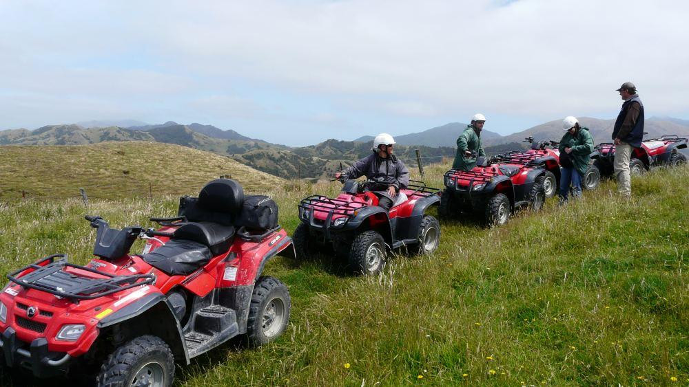 Glenstrae Farm 4 Wheel Adventures-Kaikoura必去景点