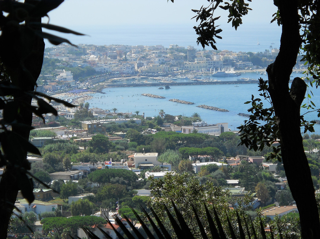 Giardini La Mortella-福里奥必去景点
