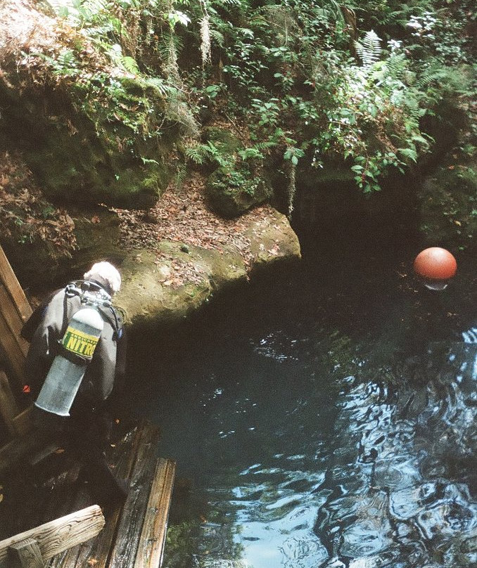 Paradise Springs-奥卡拉必去景点