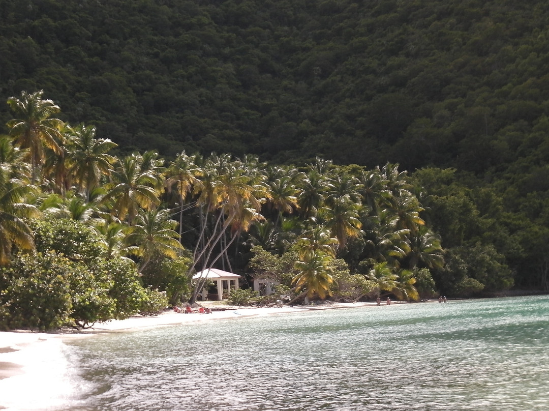 Maho Bay Beach-克鲁兹湾必去景点