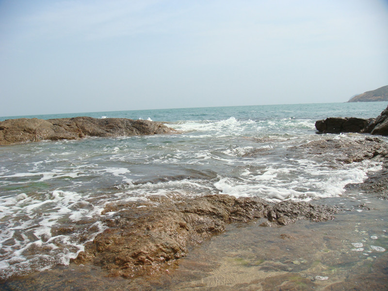 海龟保护区-惠东县必去景点