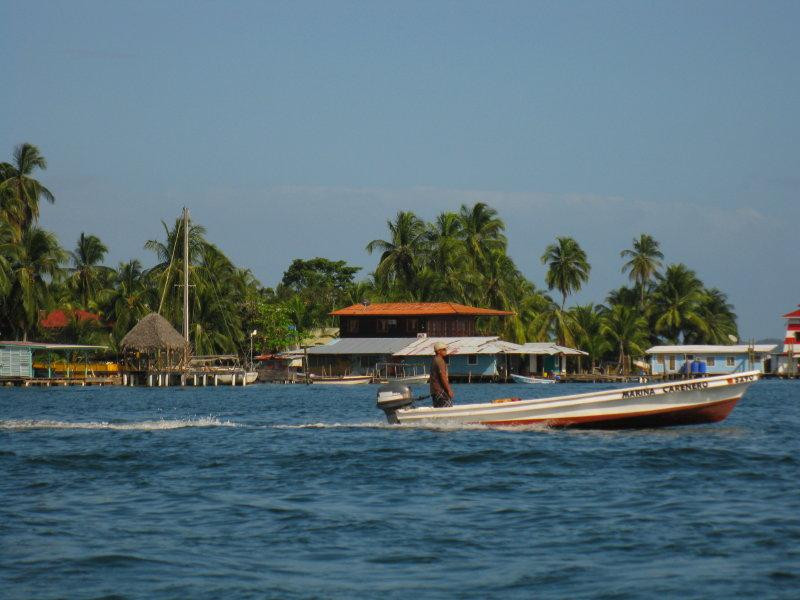 Casa del Sapo
