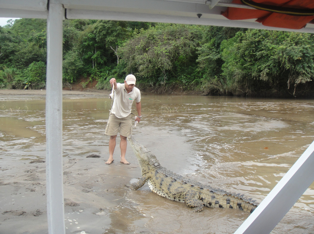 Jungle Crocodile Safari景点图片