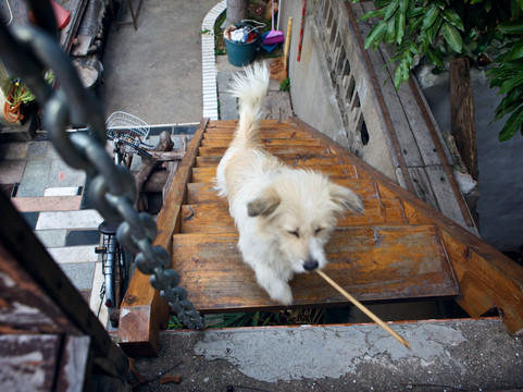 东南西北客栈主图