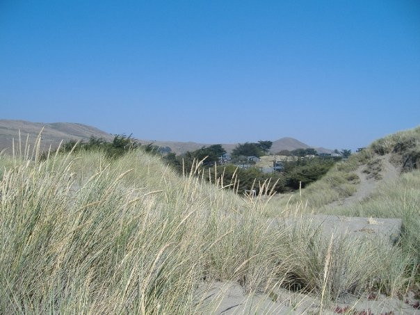 Bodega Dunes-Bodega必去景点