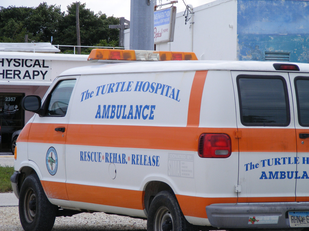 The Turtle Hospital-马拉松必去景点