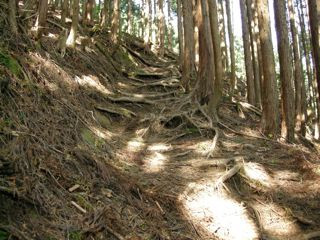 Mt. Kongo-千早赤阪村必去景点