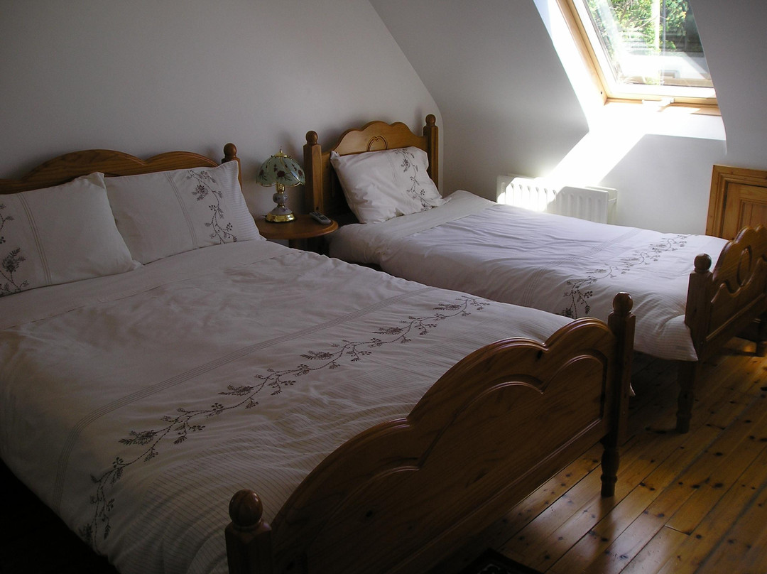 Castletownbere酒店住宿-Summer Hill Bed & Breakfast