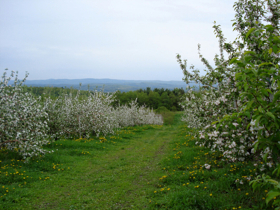 Apex Orchards-Shelburne Falls必去景点