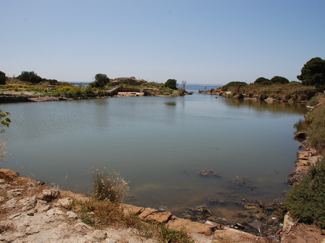 Isola di Mozia (Mothia)/ San Pantaleo-马尔萨拉必去景点