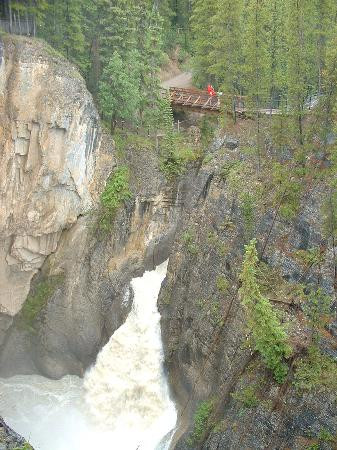 Sunwapta Falls and Canyon景点图片
