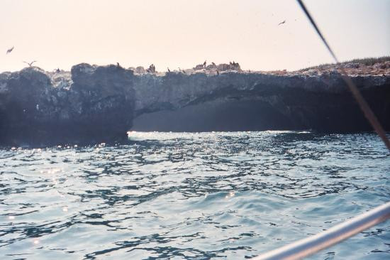 Bay of Banderas-瓦拉塔港必去景点