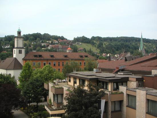 Holiday Inn Feldkirch-酒店景观