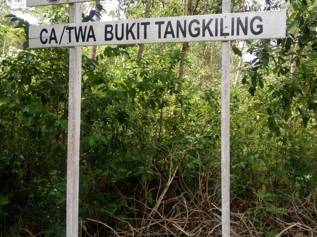 Bukit Tangkiling-帕朗卡拉亚必去景点