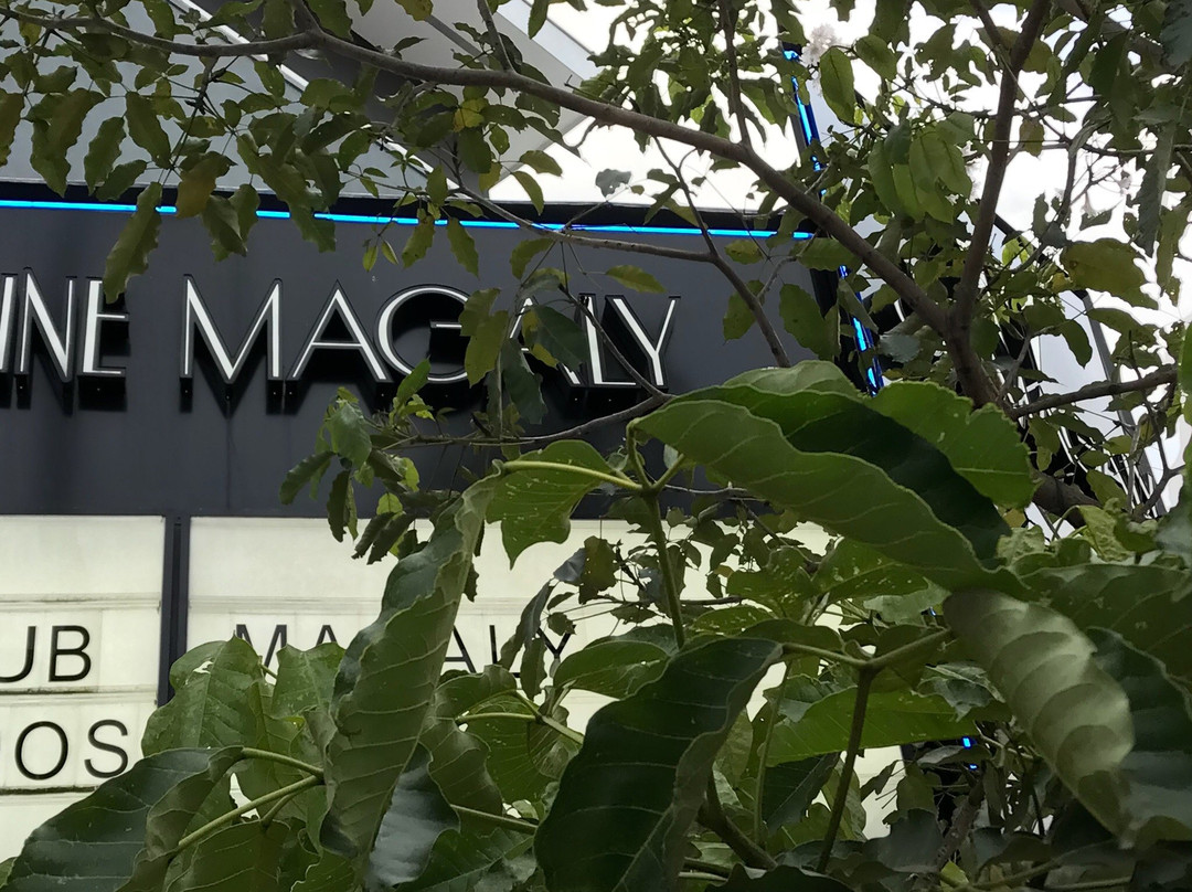 Cine Magaly景点图片
