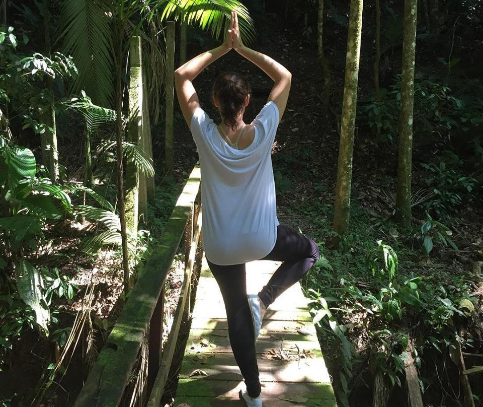 São Francisco de Assis Municipal Natural Park-Blumenau必去景点