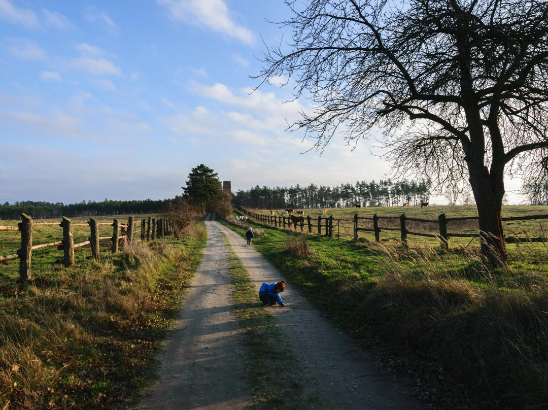 Waldhof Bruchmuhle
