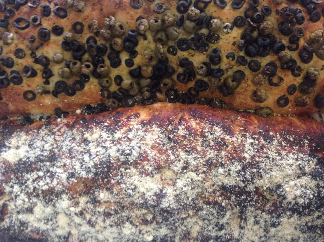 Santo Pan - Taller de pan Artesanal