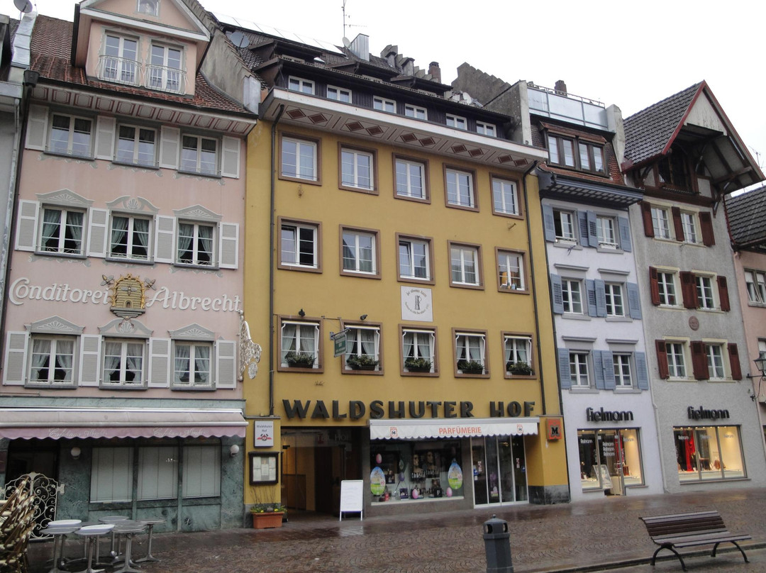 Waldshut-Tiengen旅游攻略图片