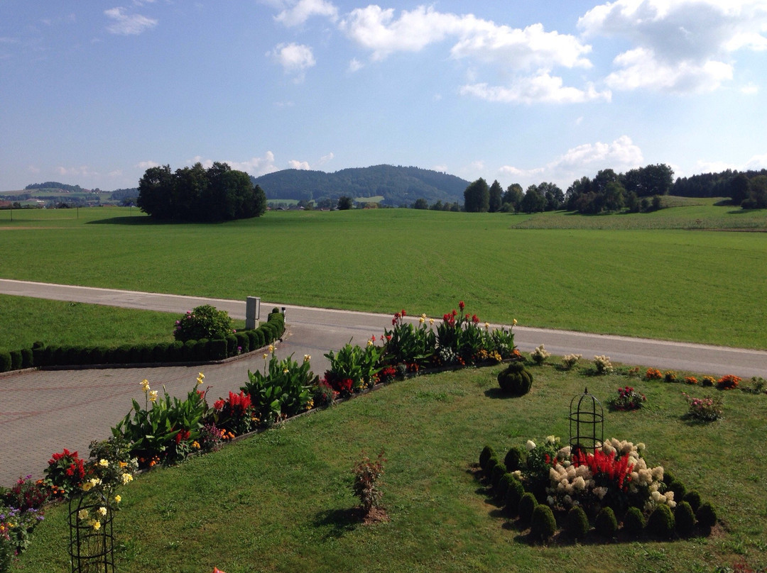 Bauernhof Schwamberger