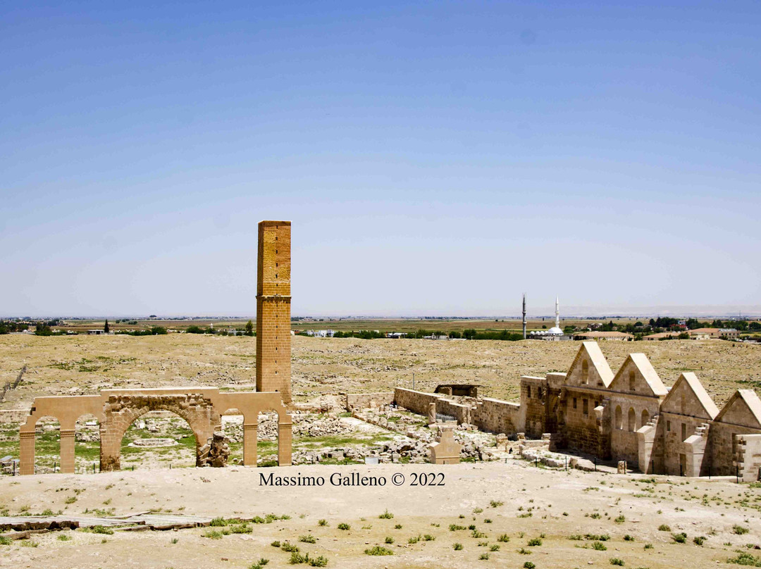 Harran Sit Alani-Harran必去景点