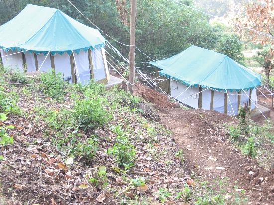 Coorg Planter's Camp-客卧