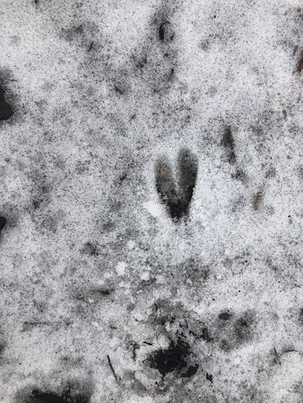 Pawling Appalachian Trail-Pawling必去景点