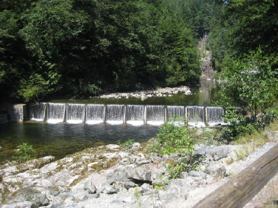 Capilano Salmon Hatchery景点图片