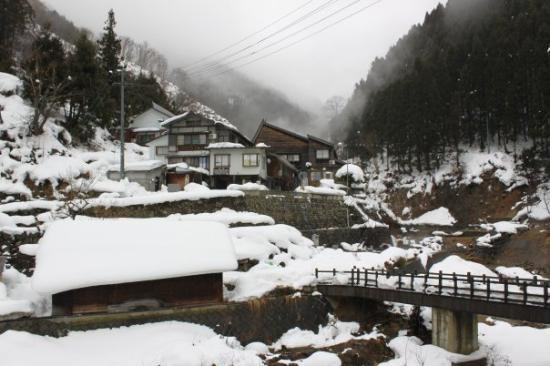地狱谷雪猴公园景点图片