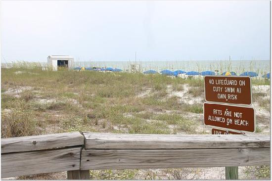Caladesi Island State Park-达尼丁必去景点