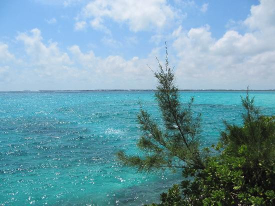 Dolphin Encounters-拿骚必去景点