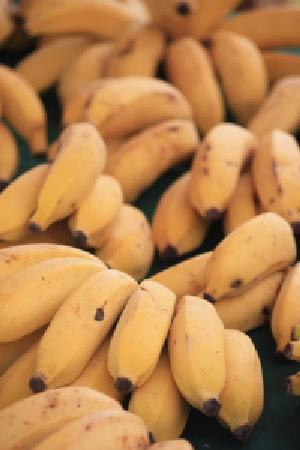 Hale'iwa Farmers' Market-哈雷瓦必去景点