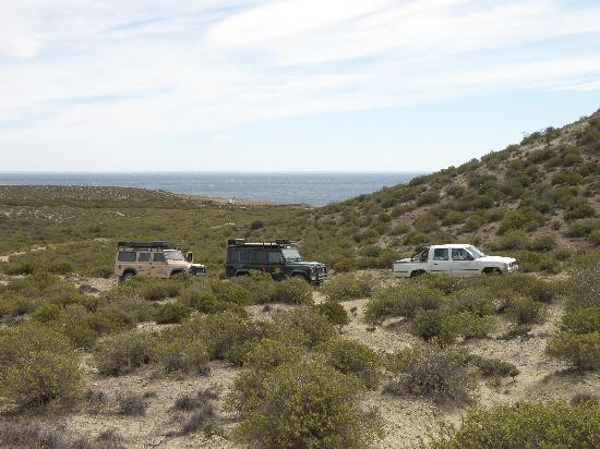 Bordes de Patagonia, turismo en una estancia a orillas del mar.-马德林港必去景点